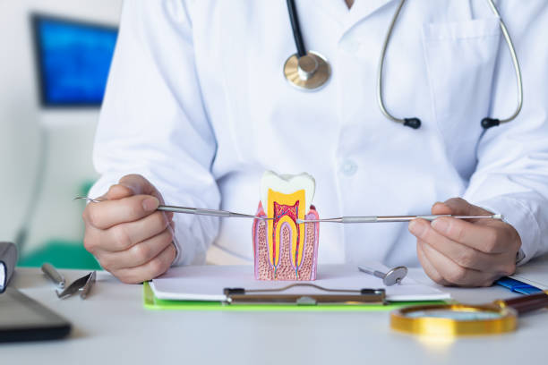 Best Emergency Dental Care for Abscessed Tooth in Alma, MI